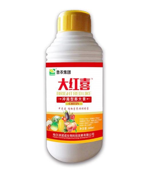 大红喜冲施型膨大素