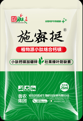 施密挺