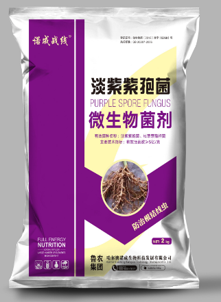 淡紫紫袍菌