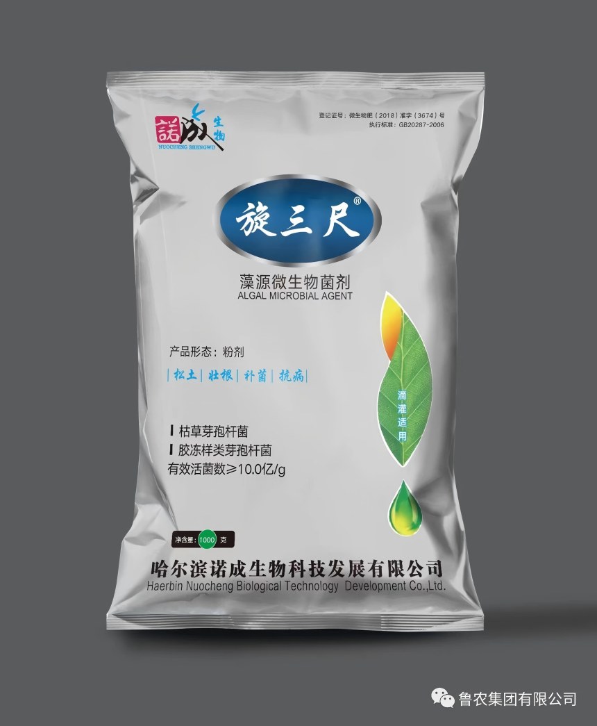旋三尺藻源微生物菌剂